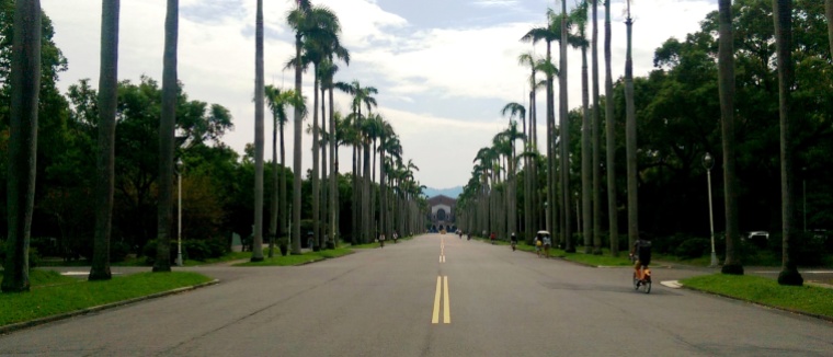One of the roads to speaking Chinese fluently (National Taiwan University)